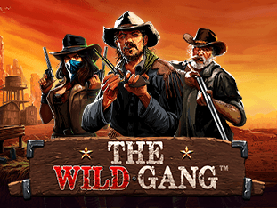 The Wild Gang icon